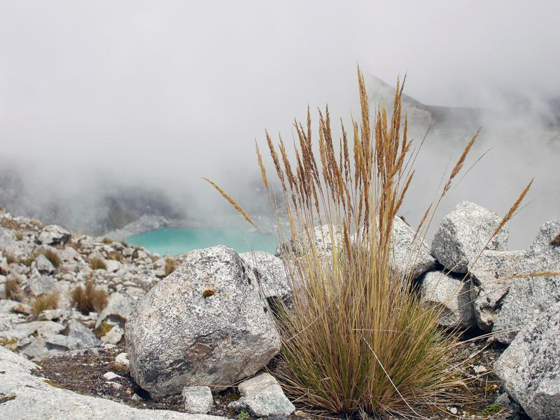 64 Lago Salkantay (38182914955).jpg